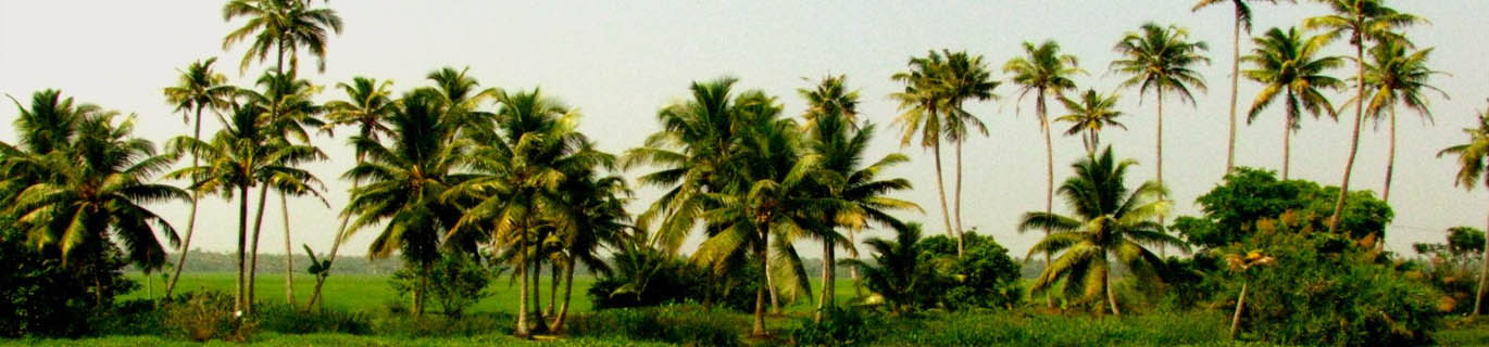 SOUTH INDIA TOUR PACKAGES